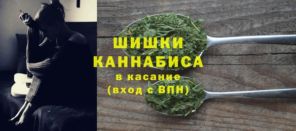 амф Арсеньев